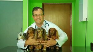 Dr. Renato Murta